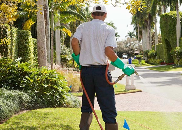 About Cochranville PA Pest Control Pros